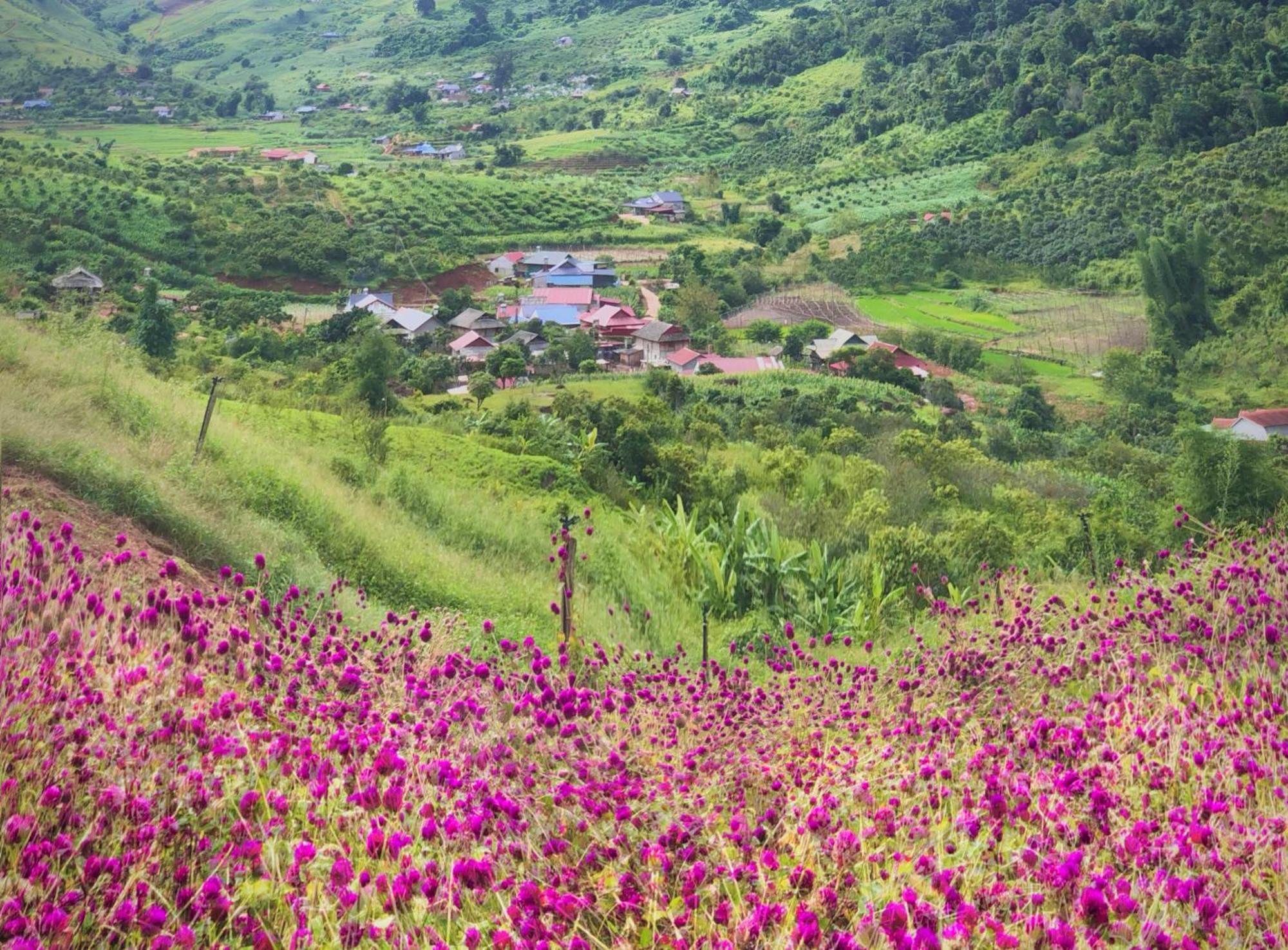 Muong Sang Farmstay Moc Chau Esterno foto